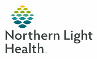 Northern Light Health Logo Northern Light Health Logo